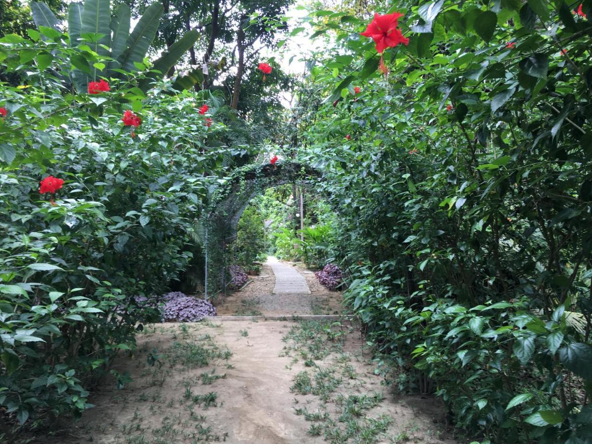 Starlight Beach Resort Koh Phayam Zewnętrze zdjęcie