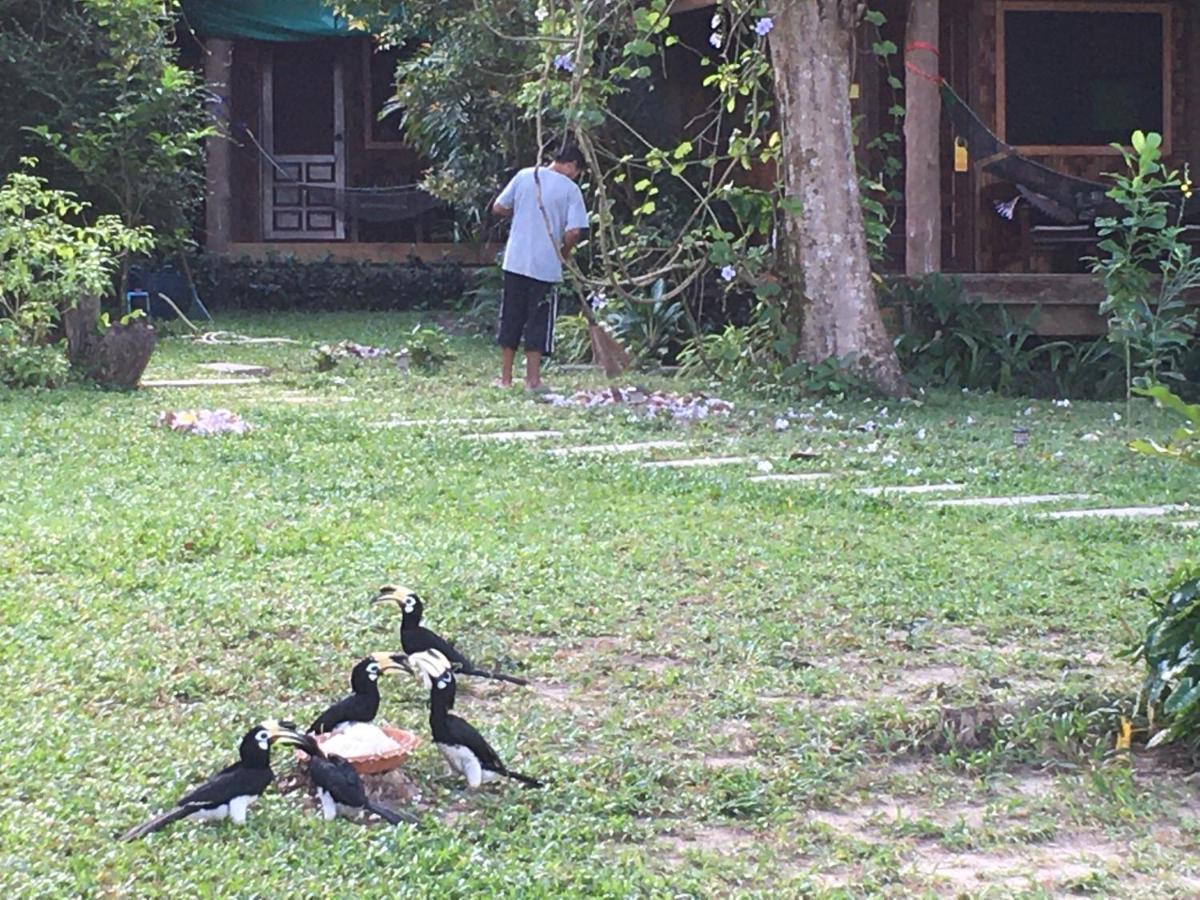 Starlight Beach Resort Koh Phayam Zewnętrze zdjęcie