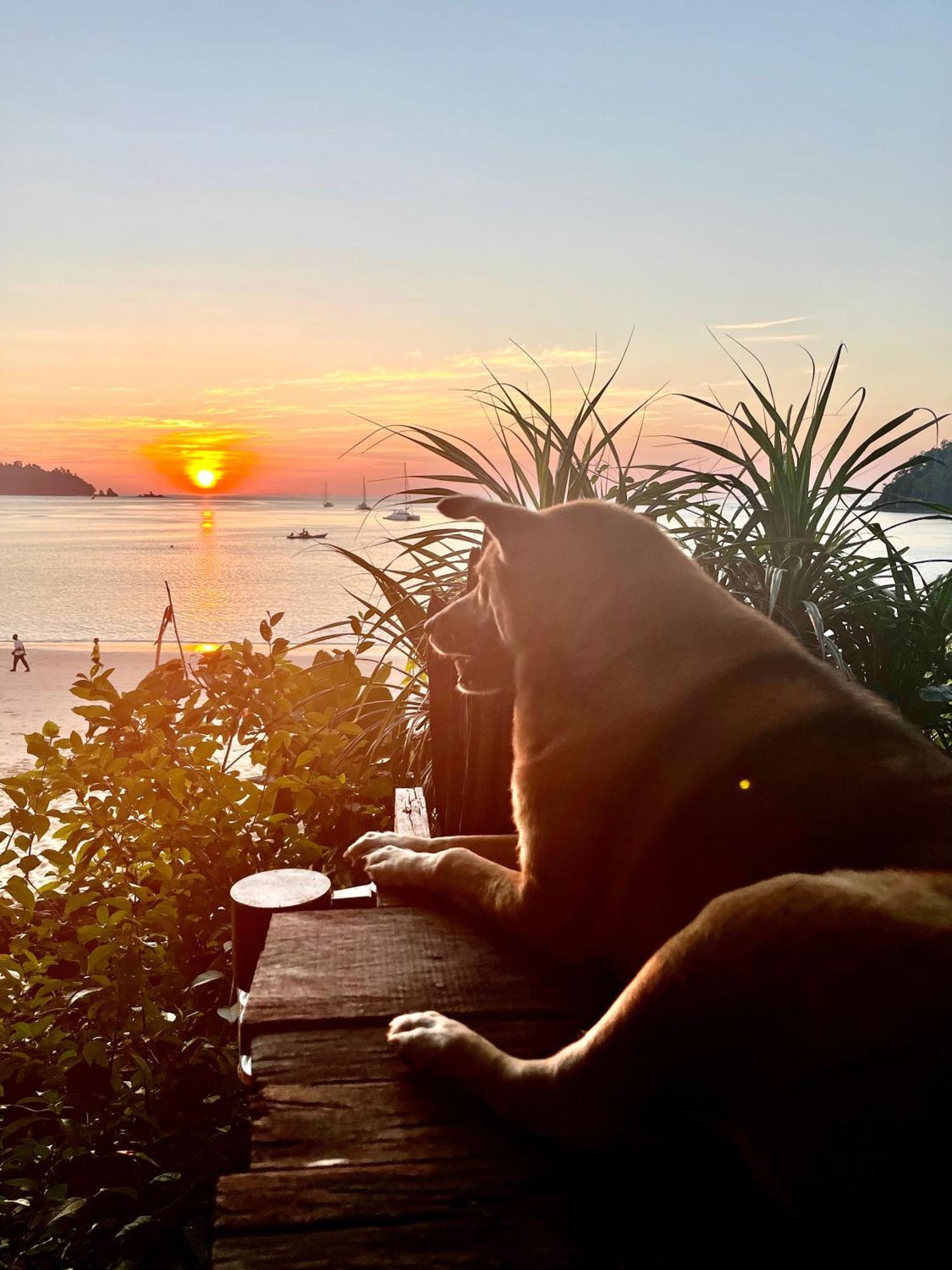 Starlight Beach Resort Koh Phayam Zewnętrze zdjęcie